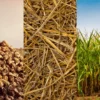 agricultural biomass